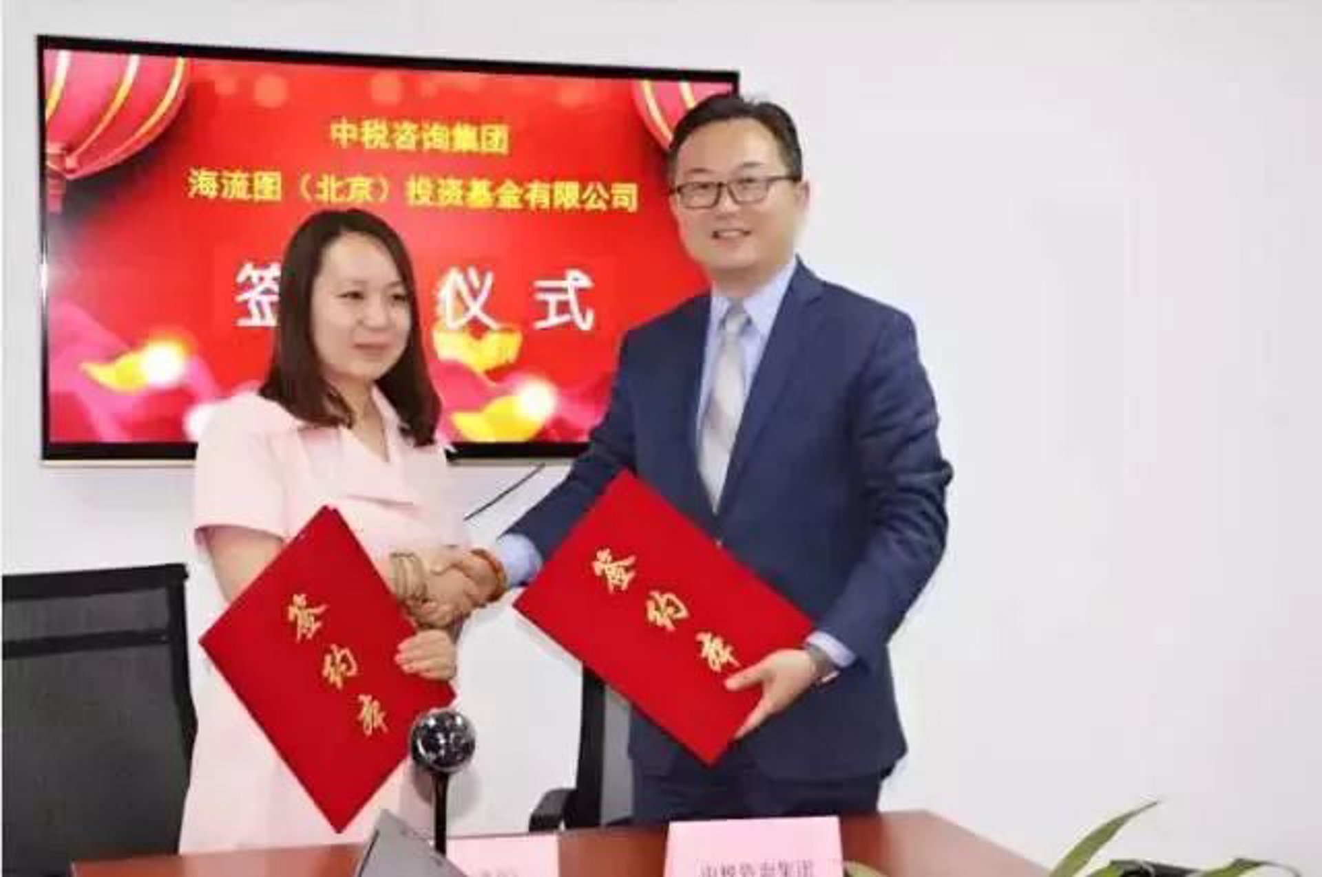 中税联盟咨询